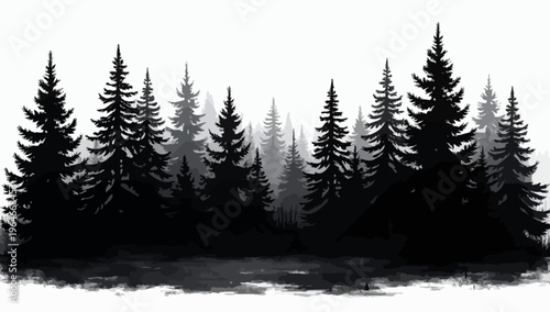 Pine trees silhouettes. Evergreen coniferous forest silhouette, nature spruce tree park 
