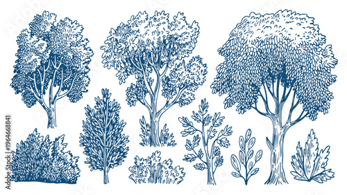 winter forest background