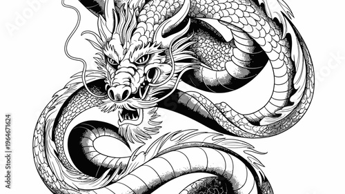 Detailed black and white illustration of a long serpentine eastern dragon