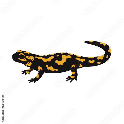 A vibrant illustration of a fire salamander with striking yellow markings