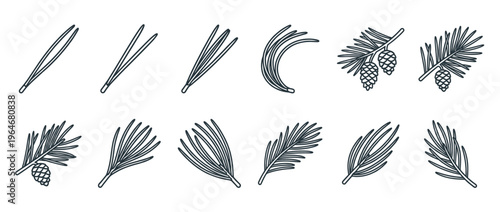 Pine needles, pine cones, and branches vector line art set for nature, forest, and holiday season designs.