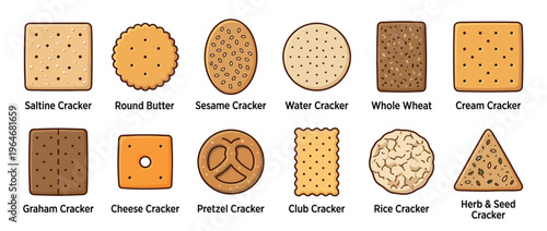 Various types of crackers illustration set including saltine, sesame, whole wheat, cheese, pretzel, and herb & seed crackers.
