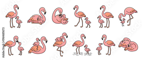 Adorable cartoon flamingo parents and their small chicks in a delightful set of illustrations showcasing avian family life and interactions.