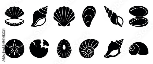 Various seashells and marine life icons depicting different types of mollusk shells and ocean creatures in a simple black silhouette style.