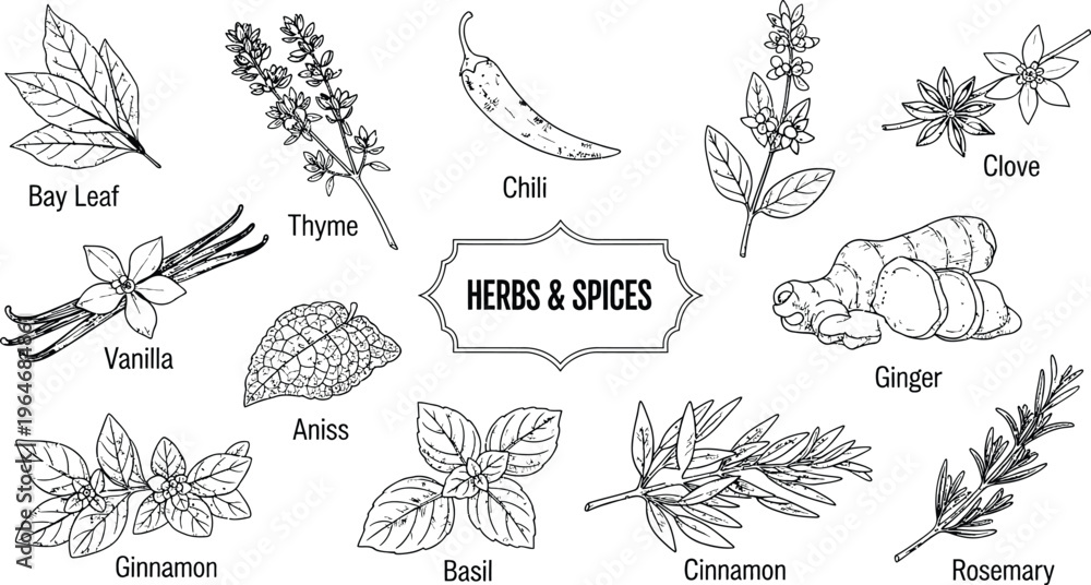 Fototapeta premium Herbs and Spices Line Art Collection Vector Illustration Set Icons