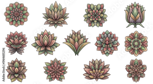 Variety of colorful succulent plants.