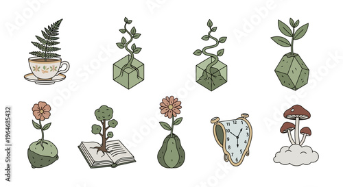 Variety of plants and mushrooms growing.