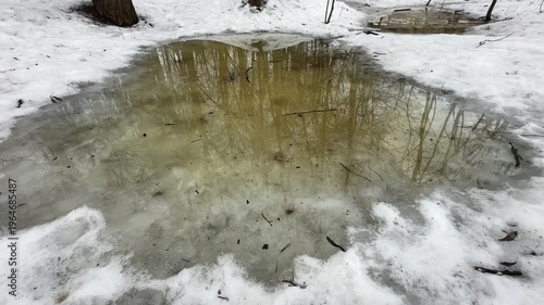 Section of spring snowy park with puddles of melt water