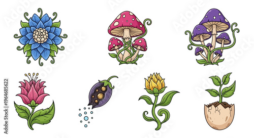 Colorful flowers and mushrooms illustrations set.