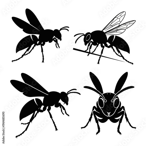Four black silhouettes of different wasp species on a white background