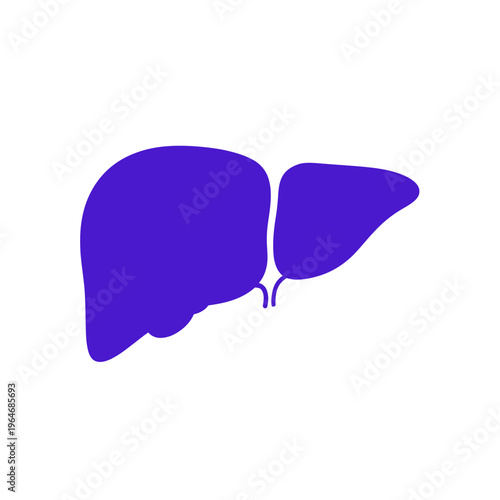Illustration of a human liver and gallbladder in a deep blue tone