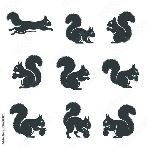 Nine stylized squirrel illustrations in various poses on a white background