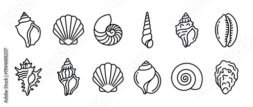 Various outline seashells and marine mollusk shells in a diverse collection of ocean-themed line art icons.