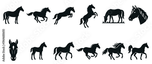 Dynamic horse silhouettes showcasing various movements like running, jumping, and rearing, alongside a grazing horse and detailed heads.