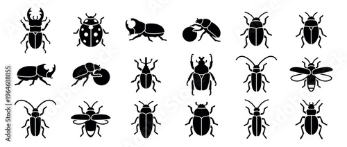 Collection of various beetle and insect icons in black silhouette, representing different species and shapes for entomology and nature designs.