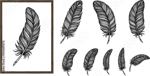 Hand drawn black feather vector collection with bohemian tribal style bird plumage for rustic nature and vintage wedding decor