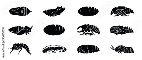 Collection of various insect pupae and larvae silhouettes illustrating different stages of insect development.
