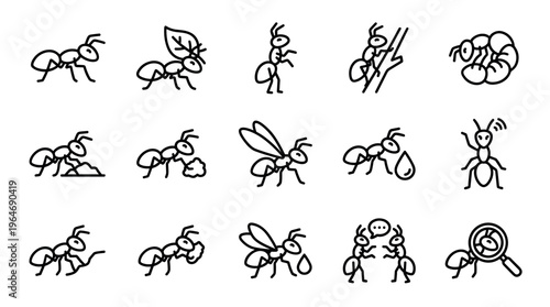 Ants vector line icons set showing various insect activities and poses, perfect for nature, pest control, or scientific design projects.