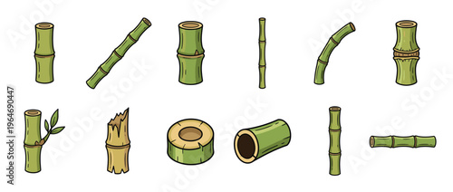 Various cartoon bamboo stalks and segments in different shapes and sizes, illustrating natural plant elements and Asian flora.