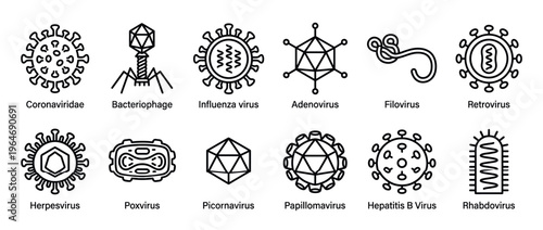 Collection of various virus types and their structures, including Coronaviridae, Bacteriophage, and Influenza virus, depicted as detailed line icons for scientific illustration.