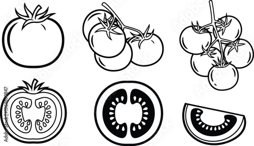 Monochrome outline vector of fresh whole and sliced tomatoes, showing internal structure, line art