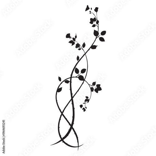 Elegant Black Silhouette of Intertwining Rose Vines with Leaves and Buds