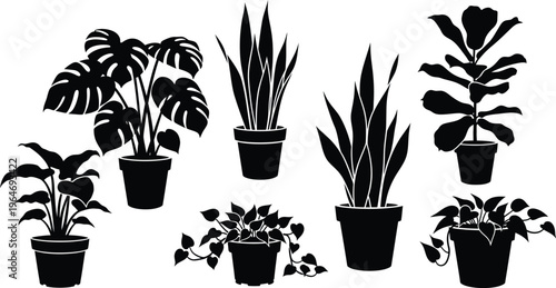 Diverse potted houseplants silhouettes collection. modern indoor plant icons with snake plant