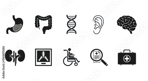 Medical Icons Set: Organs, DNA, Health, Science, and Healthcare Symbols