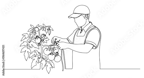 Gardener caring for a tomato plant one line drawing. Continuous line minimalist vector illustration of agriculture and farming concept. Isolated on white background