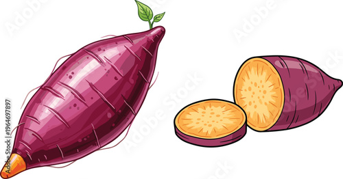 Purple sweet potato vector illustration. Whole and sliced yam with leaf detail. Organic root vegetable design for healthy food, cooking concepts, and farm produce visuals.