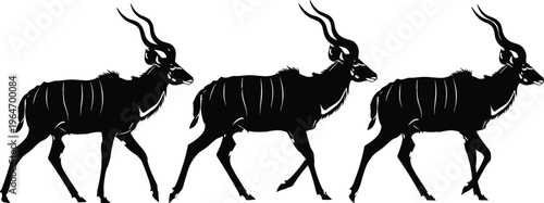 Antelope walking sequence silhouettes showing kudu animal movement, wildlife illustration, African savanna species, horned mammal, natural habitat, step by step motion