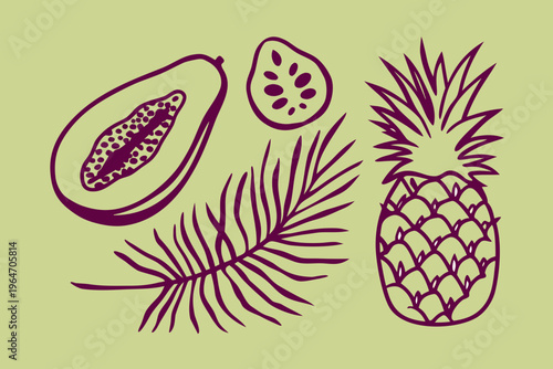 Tropical fruit illustration featuring papaya pineapple and palm leaves