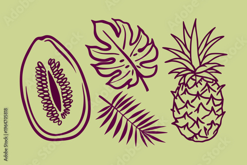 Stylized illustration of tropical fruits including a pineapple papaya and monstera