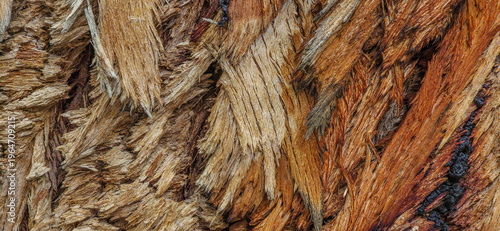 Close-up of rough, fibrous palm tree bark texture captured in a closeup shot