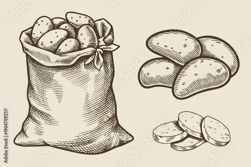 A vintage style illustration of potatoes in a burlap sack and loose