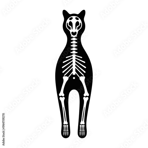 Animal X-Ray Skeleton Silhouette Minimal Anatomy Vector Illustration