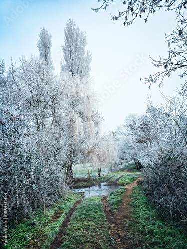 Chemin rural menant à un cours d'eau sous le givre hivernal