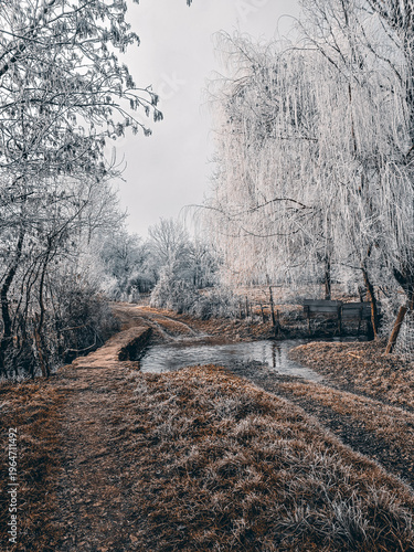 Foto Petit pont de bois traversant un ruisseau dans un paysage hivernal givré