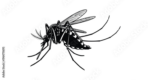 Detailed illustration of a mosquito with prominent wings and delicate legs rendered as a striking silhouette high quality professional detailed modern