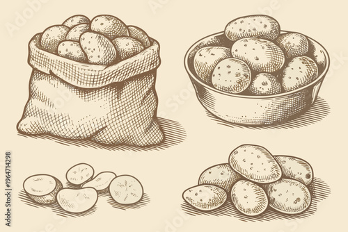 Tableau sur toile Vintage illustration of potatoes in a bag bowl and loose arrangement