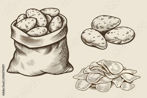 Vintage illustration of potatoes in a bag with chips and loose potatoes