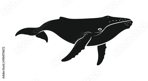 A striking black silhouette of a humpback whale gracefully swimming showcasing its immense size and form silhouette high quality professional detailed