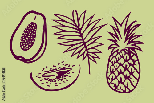 Stylized illustration of tropical fruits including papaya pineapple and watermelon