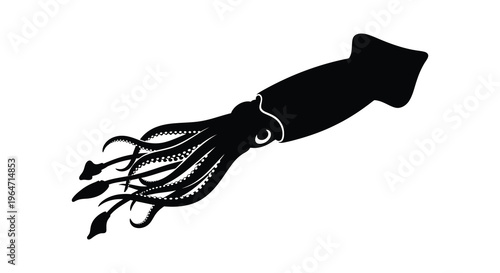 A striking black silhouette depicts a cephalopod with flowing tentacles and a prominent mantle silhouette high quality professional detailed modern elegant