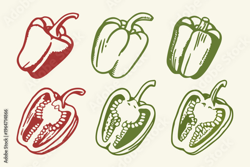 A colorful assortment of illustrated bell peppers in varying arrangements