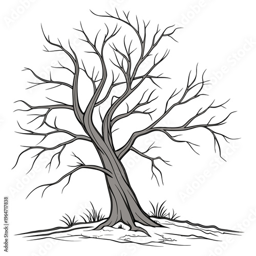 Bare tree with twisted trunk and branches on white background