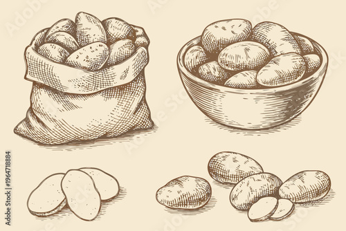 Vintage illustration of potatoes in a bag bowl and loose arrangements