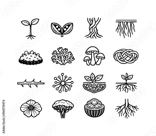 Botanical Curiosities. Line icon set of Botanical Curiosities: seedling sprout, seed pod open, twisted trunk, aerial roots, moss clump, lichen growth, mushroom