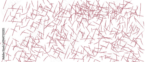 Photos Red lines scattered randomly on white background  abstract texture