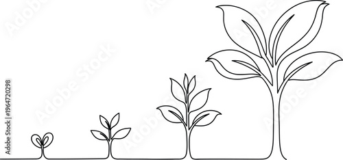 Growth stages of green plant from seedling to tree in single line style
